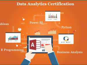 Data Analyst Course and Practical Projects Classes